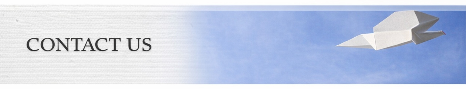 Contact Yamaichi Architecture